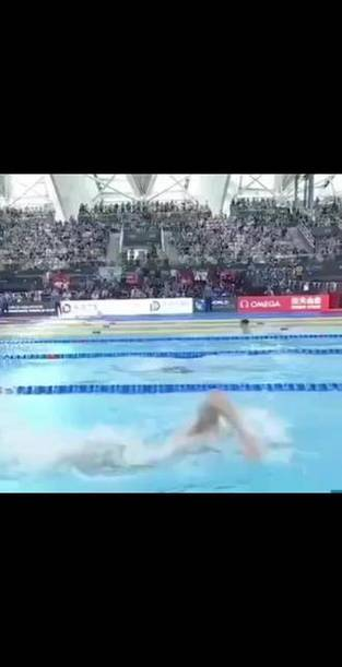 欧洲游泳选手创造新纪录，斩获奖牌